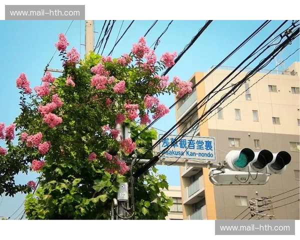 双城记：当海派优雅遇上人间烟火，横滨与大阪的灵魂博弈